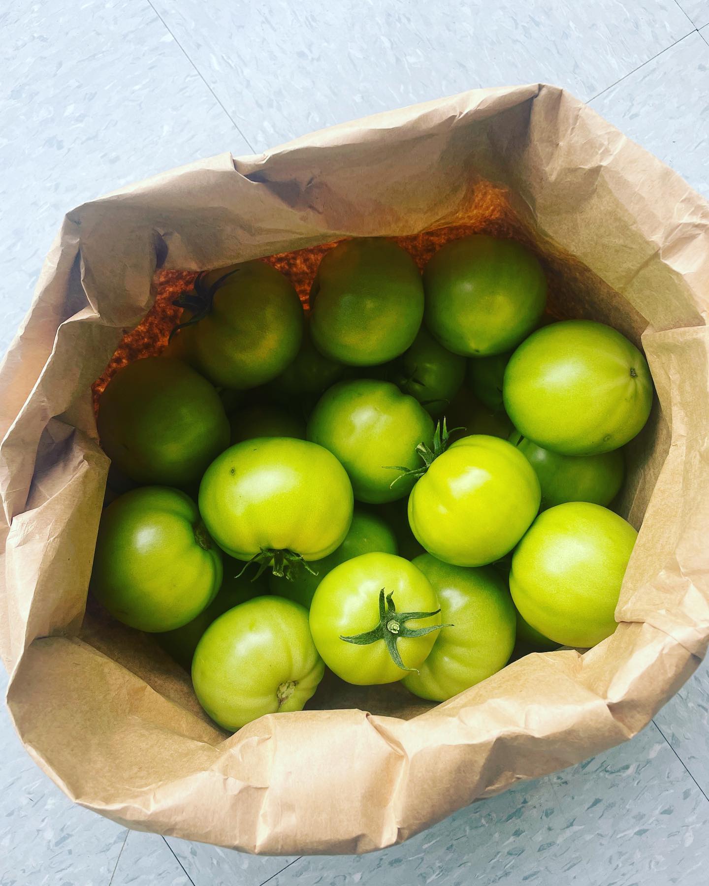 A special from Brady Farm is available for you, here at Brady Market. 

Green tomatoes are $2 a pound!

We also have other great produce available from Brady Farm, like collards, kale, spinach, and cucumbers! 

We’ll see you soon!